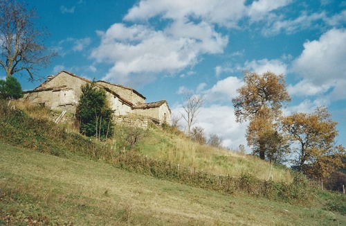 Premilcuore House | A place to unwind, surrounded by natural beauty