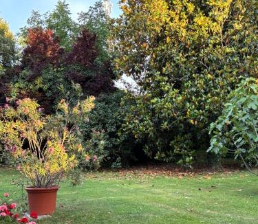 Scarzara Bed & Breakfast | Acero Giallo