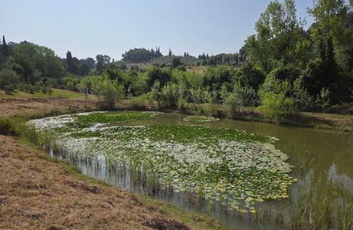 Guardistallo Apartment | Agriturismo Ai Massi