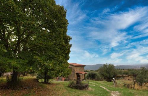 Collesanto House | Agriturismo azienda agraria Ippogrifo