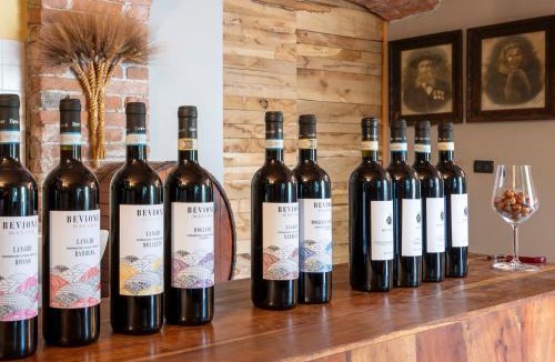 Farigliano House | Agriturismo Cantine Bevione - Family Apartments with panoramic view