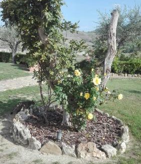Volterra House | Agriturismo Casa al Povero