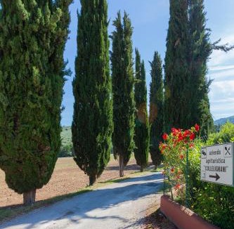 Eggi House | Agriturismo Collelignani