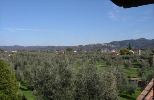 Donoratico House | Agriturismo Greppo All'olivo