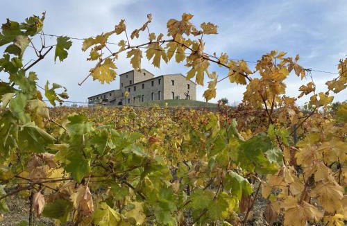 Montedinove Bed & Breakfast | Agriturismo Il Borghetto