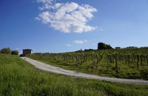 San Gimignano House | Agriturismo Il Casolare Di Bucciano