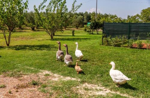 Grosseto House | Agriturismo il Pollino