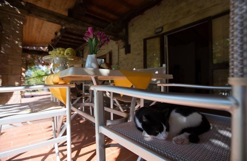 Pomarance Apartment | Agriturismo in Toscana- Trilo 4/6 p. pool wifi garden parking restaurant - San Carlo Trilo2