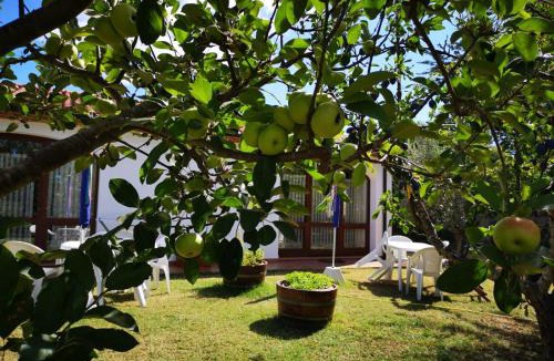 Piombino House | Agriturismo Valle dei Venti