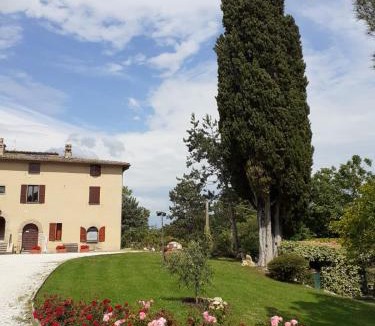 Ponte d'Assi Apartment | Agriturismo VILLA MOZART nel verde
