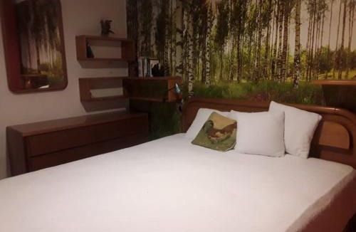 Meldola Bed & Breakfast | All'Ovile
