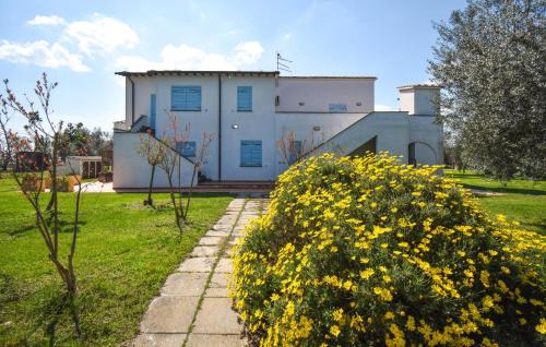 Pescia Romana Apartment | Amazing Apartment In Pescia Romana