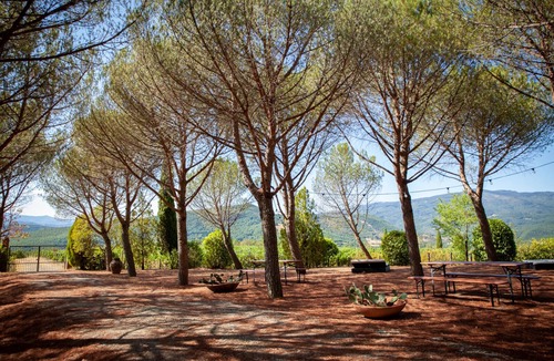 Arezzo Apartment | Apartment among Tuscan vineyard hills