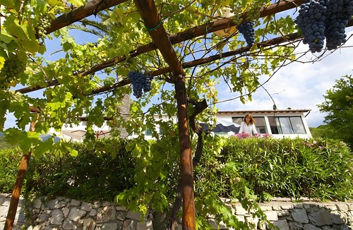Vigne Giunche Apartment | Apartment 'Arco' with Private Garden, Wi-Fi and Air Conditioning