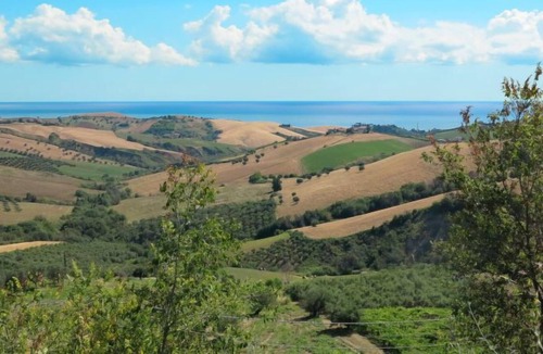 Roseto degli Abruzzi Apartment | Apartment Blue Bay Resort (RSO180) in Roseto degli Abruzzi - 4 persons, 1 bedrooms