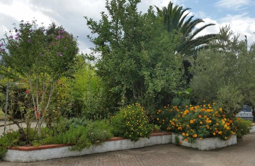 Campo nell'Elba House | Appartamenti Criage