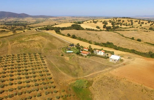 Grosseto Other | "Appartamento 2 - La Poiana" with Pool, Garden & Wi-Fi