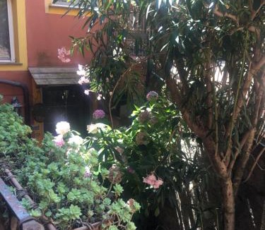 Lavaggiorosso Apartment | Appartamento Fiordaliso