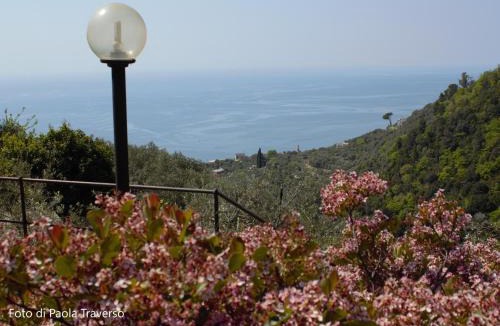 Recco House | Azalea