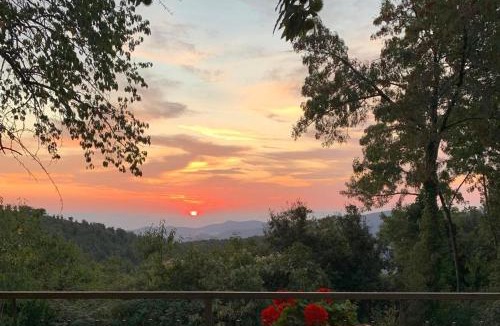 Castiglione della Pescaia Bed & Breakfast | B&B Arcobaleno