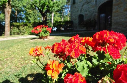 Neviano degli Arduini Apartment | B&B Cortebonomini apartment