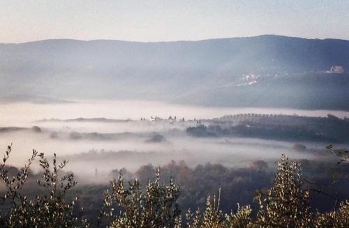 Poggio Nativo Bed & Breakfast | B&B da Odila