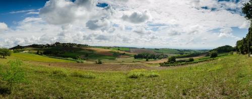 Cuccaro Monferrato Bed & Breakfast | B&B da Stefy