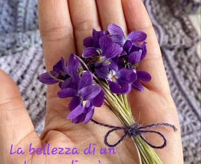 Moggiona Bed & Breakfast | B&B degli Allori