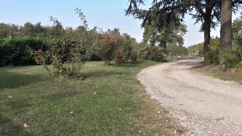 Porano Bed & Breakfast | B&B Il Cardellino