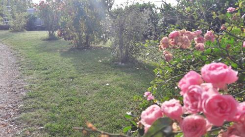 Porano Bed & Breakfast | B&B Il Cardellino