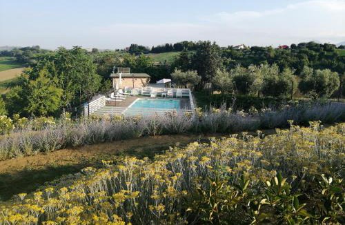 Castorano Bed & Breakfast | B&B Il Gelso Country House