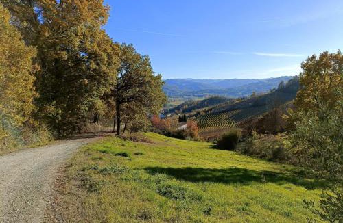 Acqui Terme Bed & Breakfast | B&B La Piccola Lepre