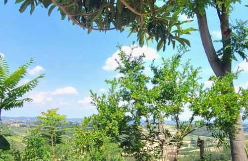 Govone Bed & Breakfast | B&B Ma Maison