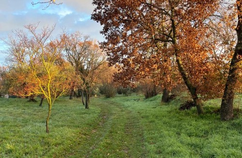 Soriano nel Cimino Bed & Breakfast | B&B Notti di stelle