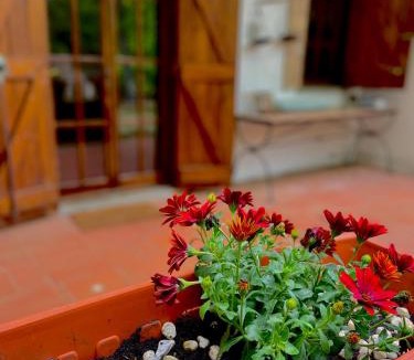 Tolfa Bed & Breakfast | B&B Notti Serene