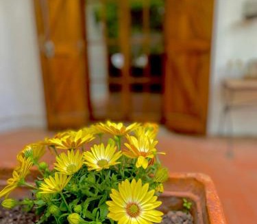 Tolfa Bed & Breakfast | B&B Notti Serene