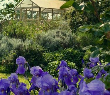 Medesano Bed & Breakfast | B&B Ostria Vento