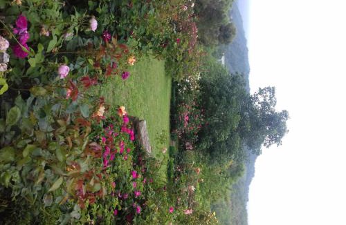 Cosseria Bed & Breakfast | B&B The Roses Garden