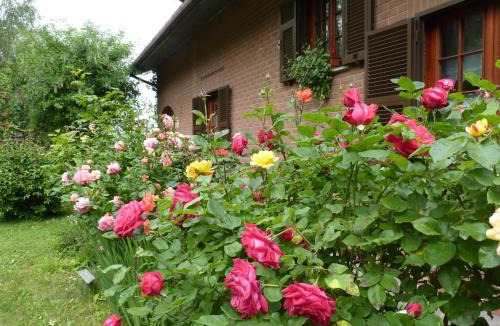 Cosseria Bed & Breakfast | B&B The Roses Garden