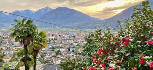 Domodossola Bed & Breakfast | B&B Villa Moro