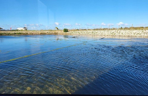 Aveiro Boat Rental | Barco Casa Aveiro