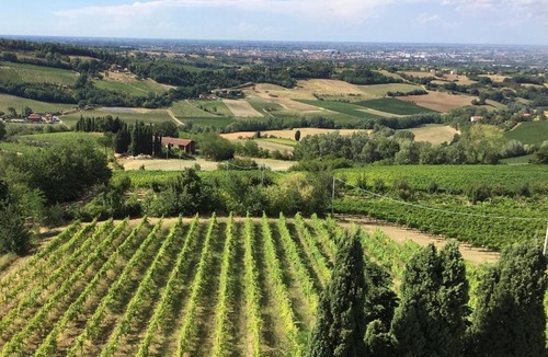 Castel Bolognese Apartment | Beautiful hilltop farmhouse with swimming pool