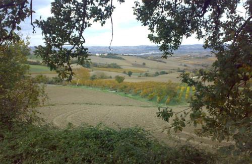 Staffolo Bed & Breakfast | Bed and Breakfast La casa delle rondini