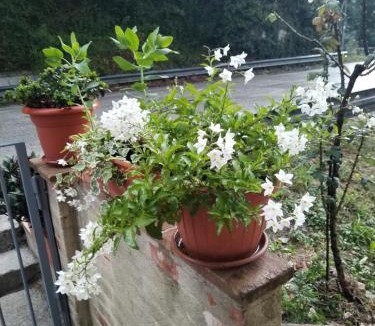 Valtopina Apartment | Biancaneve