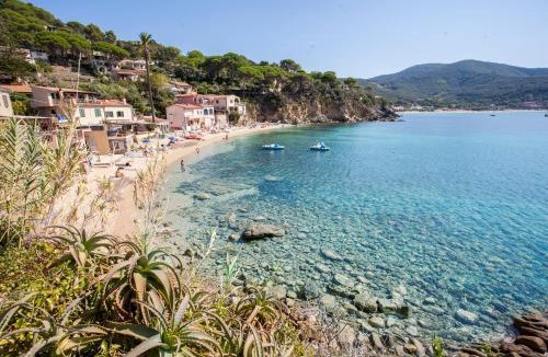 Scaglieri Apartment | Bilocale Ostrica