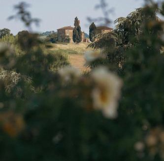 Crespellano Apartment | Borgo degli Ulivi