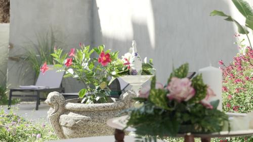 Imperia Bed & Breakfast | Boutique Hotel Palazzo Ricardi Imperia con Spa, piscina e parcheggio
