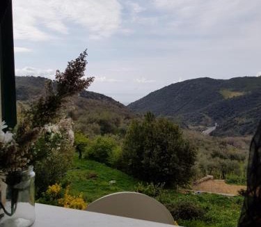 Gorra House | Cà Bartolomeo