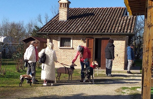 Cotignola Bed & Breakfast | Ca' Bianca