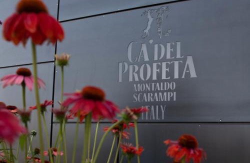 Montaldo Scarampi Resort | Ca' del Profeta Suites & SPA